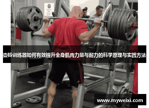 壶铃训练器如何有效提升全身肌肉力量与耐力的科学原理与实践方法