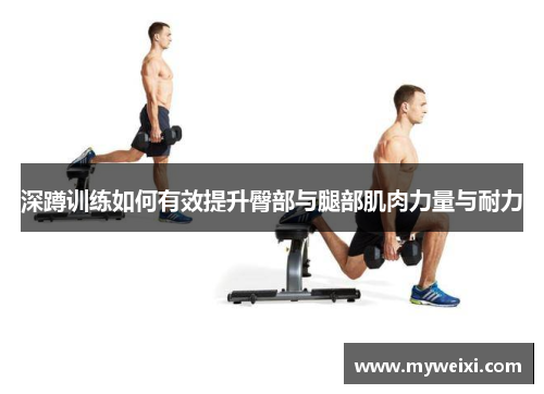 深蹲训练如何有效提升臀部与腿部肌肉力量与耐力