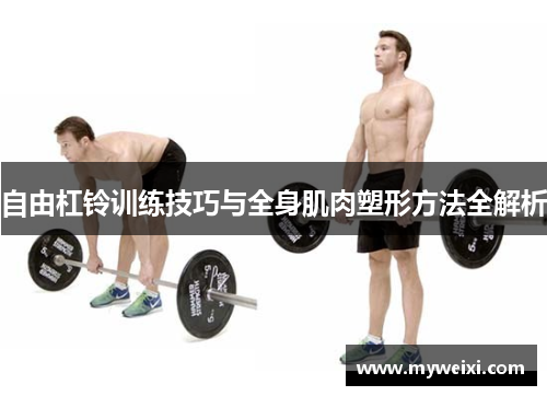 自由杠铃训练技巧与全身肌肉塑形方法全解析