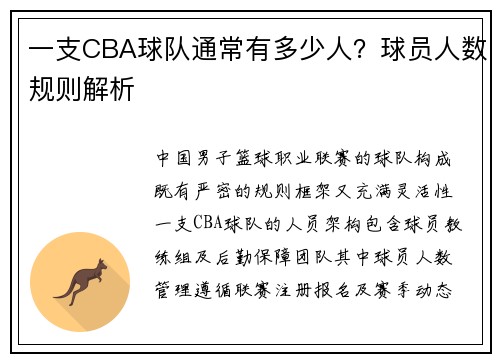 一支CBA球队通常有多少人？球员人数规则解析